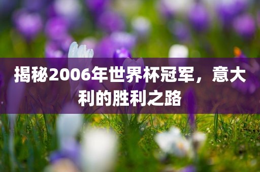 揭秘2006年世界杯冠军，意大利的胜利之路