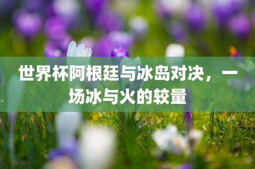 世界杯阿根廷与冰岛对决，一场冰与火的较量