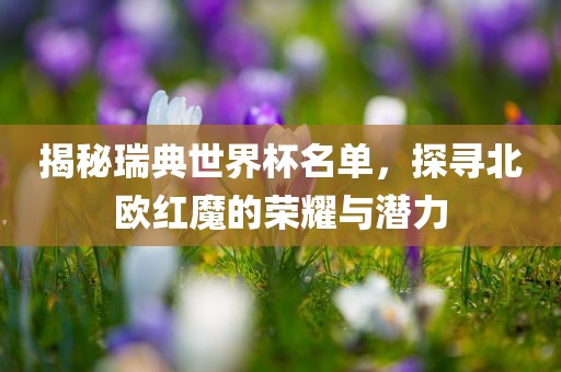 揭秘瑞典世界杯名单，探寻北欧红魔的荣耀与潜力眉山市正发家政服务有限公司