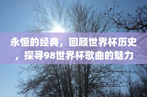 永恒的经典，回顾世界杯历史，探寻98世眉山市正发家政服务有限公司界杯歌曲的魅力