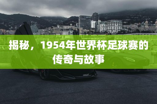 揭秘，1954年世界杯足球赛的传奇与故事眉山市正发家政服务有限公司