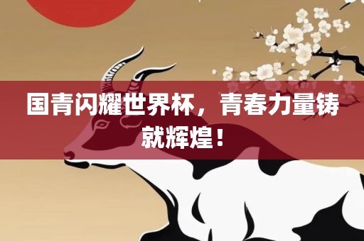 国青闪耀世界杯眉山市正发家政服务有限公司，青春力量铸就辉煌！