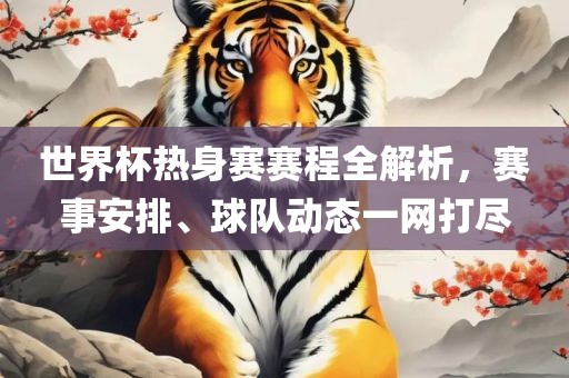 世界杯热身赛赛程全解析，赛事安排、球队动态一网打尽眉山市正发家政服务有限公司