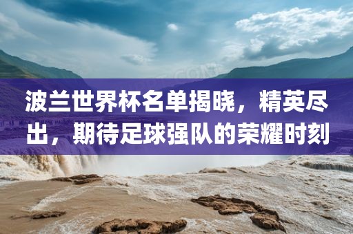 波兰世界杯名单揭晓，精英尽出，期待足球强队的荣耀时刻眉山市正发家政服务有限公司