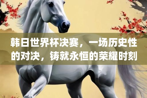 韩日世界杯决赛，一场历史性的对决，铸就永恒的荣耀时刻