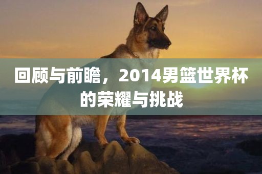 回顾与前瞻，2014男篮世界杯的荣耀与挑战