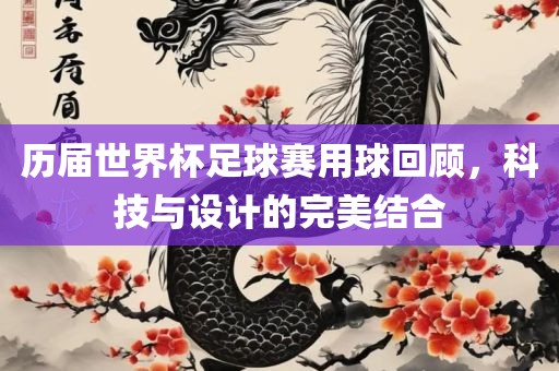 历届世界杯足球赛用球回顾，眉山市正发家政服务有限公司科技与设计的完美结合