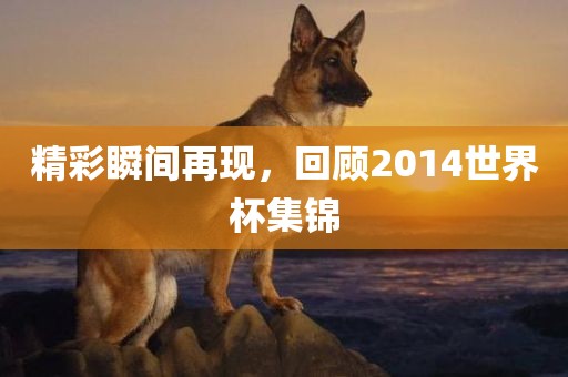 精彩瞬间再现，回顾2014世界杯集锦