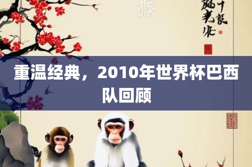 重温经典，2010年世界杯巴西队回顾眉山市正发家政服务有限公司