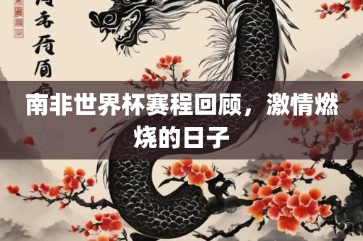 南非世界杯赛程回顾，激情燃烧的日子眉山市正发家政服务有限公司