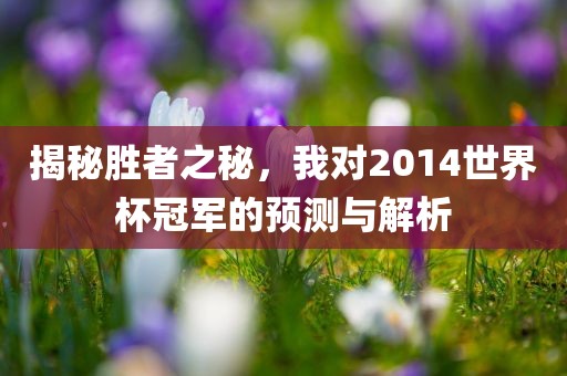 揭秘胜者之秘，我对2014世界杯冠军的预测与解析
