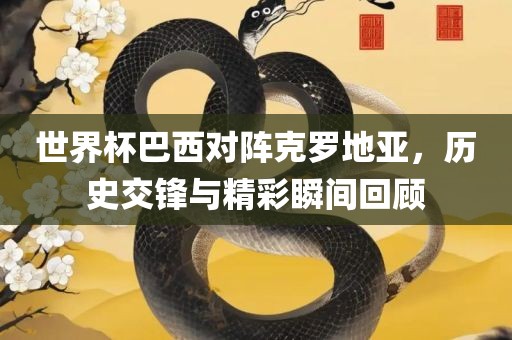 世界杯巴西对阵克罗地亚，历史交锋与精彩瞬间回顾眉山市正发家政服务有限公司