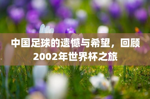 中国足球的遗憾与希望，回顾2002年世界杯之旅眉山市正发家政服务有限公司