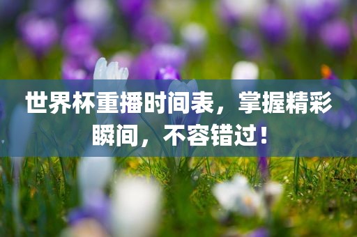 世界杯重播时间表，掌握精彩瞬间，不容错过！眉山市正发家政服务有限公司