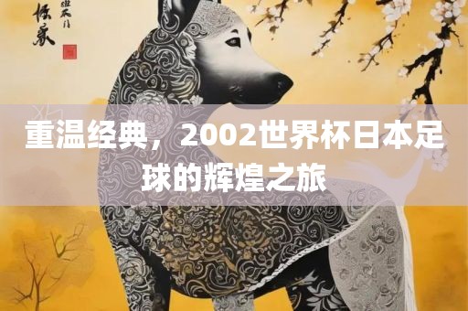重温经典，2002世界杯日本足球的辉煌之旅眉山市正发家政服务有限公司