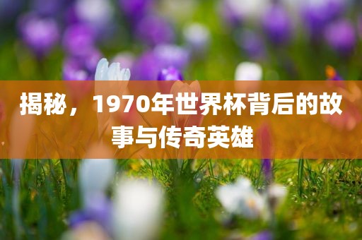 揭秘，1970年世界杯背后的故事与传奇英雄眉山市正发家政服务有限公司
