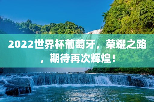 2022世界杯葡萄牙眉山市正发家政服务有限公司，荣耀之路，期待再次辉煌！