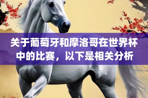 关于葡萄牙和摩洛哥在世界杯中的比赛，以下是相眉山市正发家政服务有限公司关分析