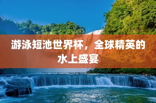 游泳短池世界杯，全球精英的水上盛宴
