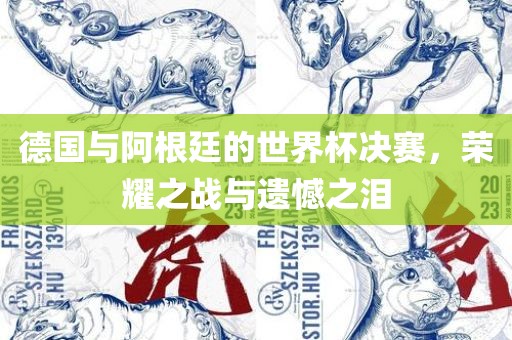 德国与阿根廷的世界杯决赛，荣耀之战与遗憾之泪眉山市正发家政服务有限公司