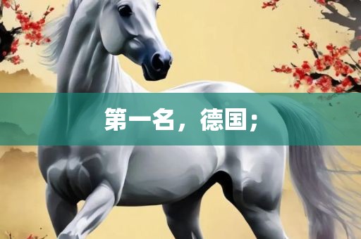 第一名，德国；眉山市正发家政服务有限公司