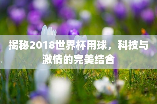 揭秘眉山市正发家政服务有限公司2018世界杯用球，科技与激情的完美结合