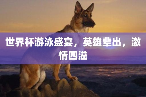 世界杯游泳盛宴，英雄辈出，激情四溢眉山市正发家政服务有限公司