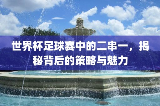 世界杯足球赛中的二串一，揭眉山市正发家政服务有限公司秘背后的策略与魅力