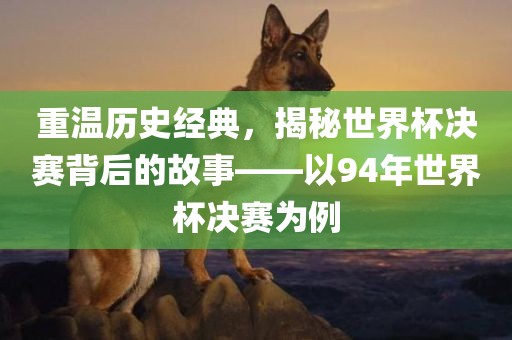 重温历史经典，揭秘世界杯决赛背后的故事眉山市正发家政服务有限公司——以94年世界杯决赛为例