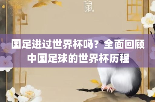 国足进过世界杯吗？全面回顾中国足球的世界杯历程眉山市正发家政服务有限公司
