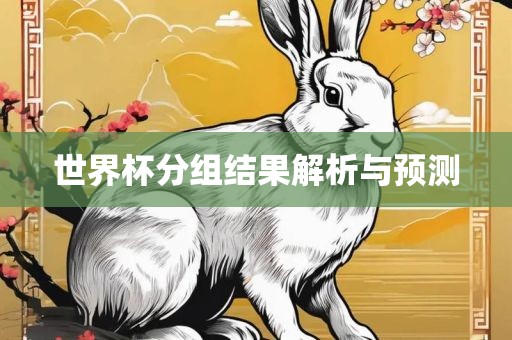 世界杯分组结果解析与预测