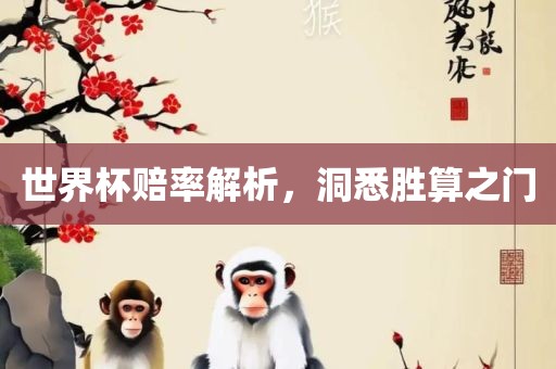 世界杯赔率解析，洞悉胜算之门