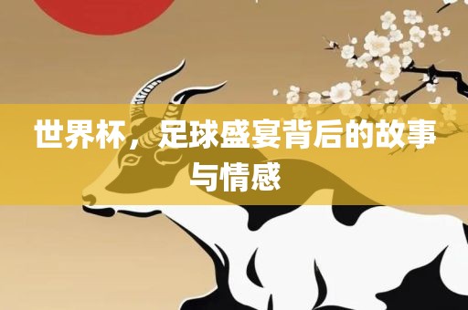 世界杯，足球盛宴背后的故事与情感眉山市正发家政服务有限公司