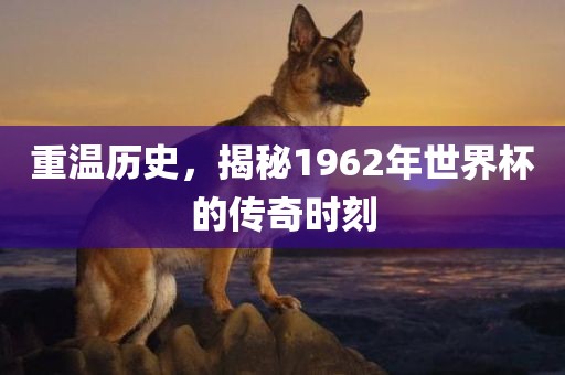 重温历史，揭秘1962年世界杯的传奇时刻眉山市正发家政服务有限公司
