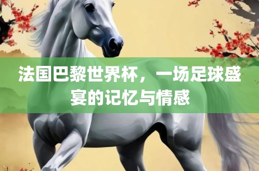 法国巴黎世界杯，一场足球盛宴的记忆与情感