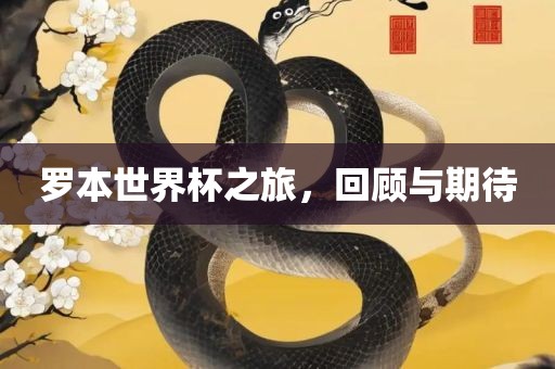 罗本世界杯之旅，回顾与期待