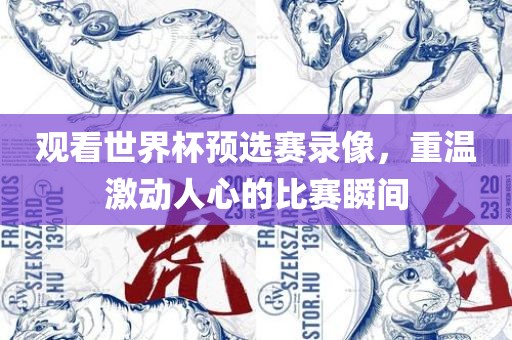 观看世界杯预选赛录像，重温激动人心的比眉山市正发家政服务有限公司赛瞬间