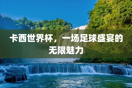 卡西世界杯，一场足球盛宴的无限魅力眉山市正发家政服务有限公司