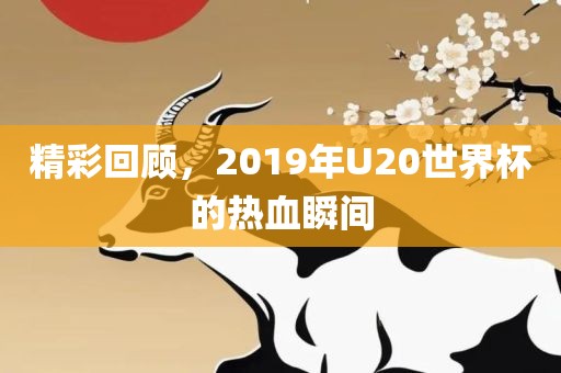 精彩回顾，2019年U20世界杯的热血瞬间