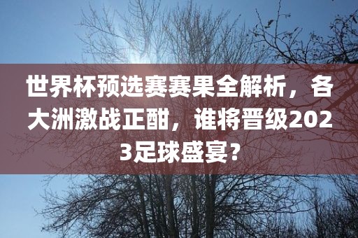 世界杯预选赛赛果全解析，各大洲激战正酣，谁将晋级2023足球盛宴？眉山市正发家政服务有限公司