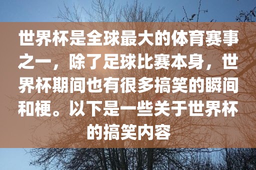 世界杯是全球最大的体育赛事之一，除了足球比赛本身，世界杯期间也有很多搞笑的瞬间和梗。以下是一些关于世界杯的搞笑内容