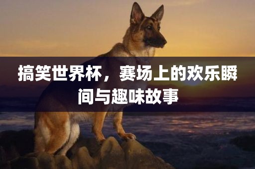 搞笑世界杯，赛场上的欢乐瞬间与趣味故事眉山市正发家政服务有限公司