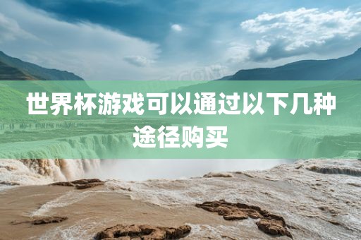 世界杯游戏可以通过以下几种途径购买眉山市正发家政服务有限公司