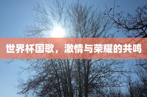 世界杯国歌，激情与荣耀的共鸣眉山市正发家政服务有限公司