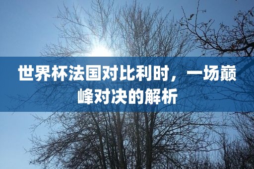 世界杯法国对比利时，一场巅峰对决的解眉山市正发家政服务有限公司析