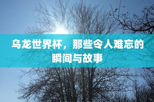 乌龙世界杯，那些令人难忘的瞬间与故事
