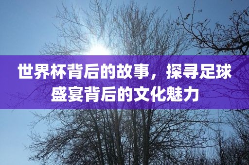 世界杯背后的故事眉山市正发家政服务有限公司，探寻足球盛宴背后的文化魅力
