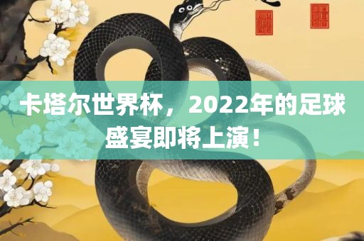 卡眉山市正发家政服务有限公司塔尔世界杯，2022年的足球盛宴即将上演！