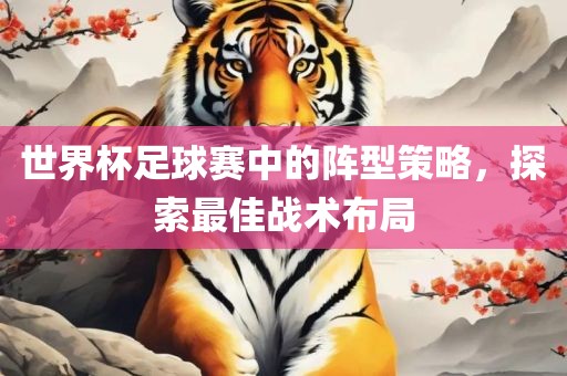 世界杯足球赛中的阵型策略，探索最佳战术布局眉山市正发家政服务有限公司