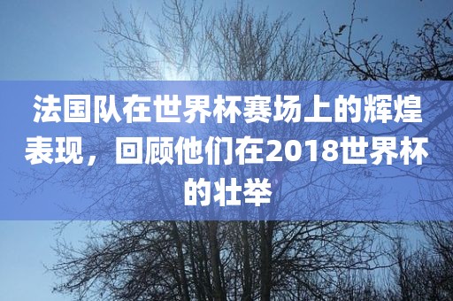 法国队在世界杯赛场上的辉煌表现，回顾他们在2018世界杯的壮举眉山市正发家政服务有限公司